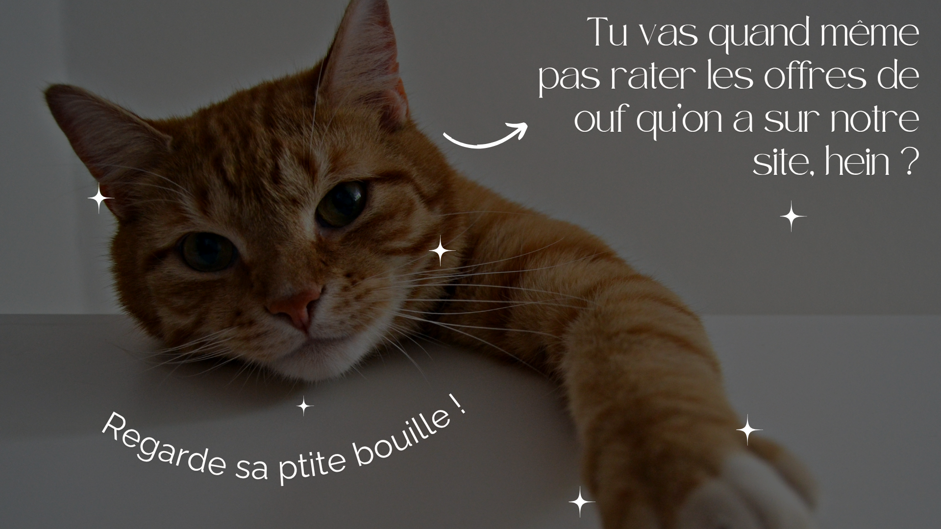 slider image 1621243260e1af0c20-0